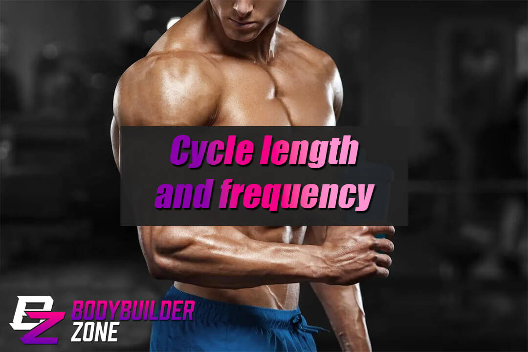 Cycle Length and Frequency