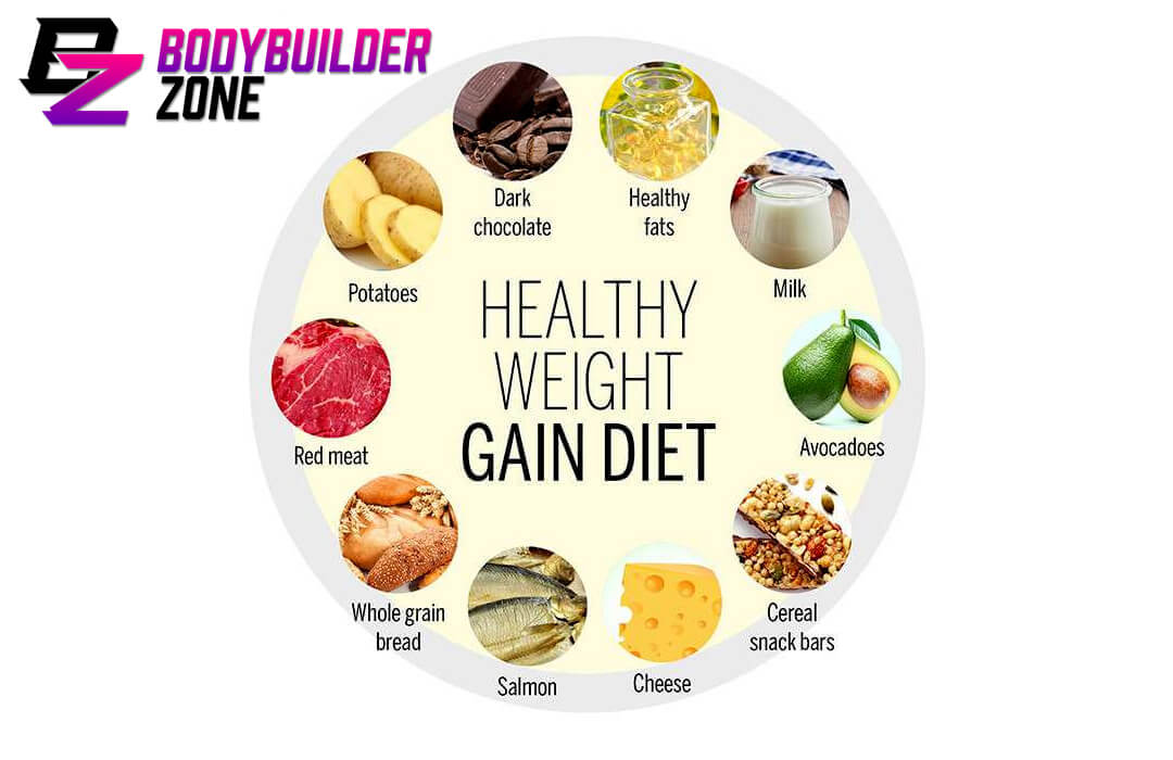 Importance of Nutrition