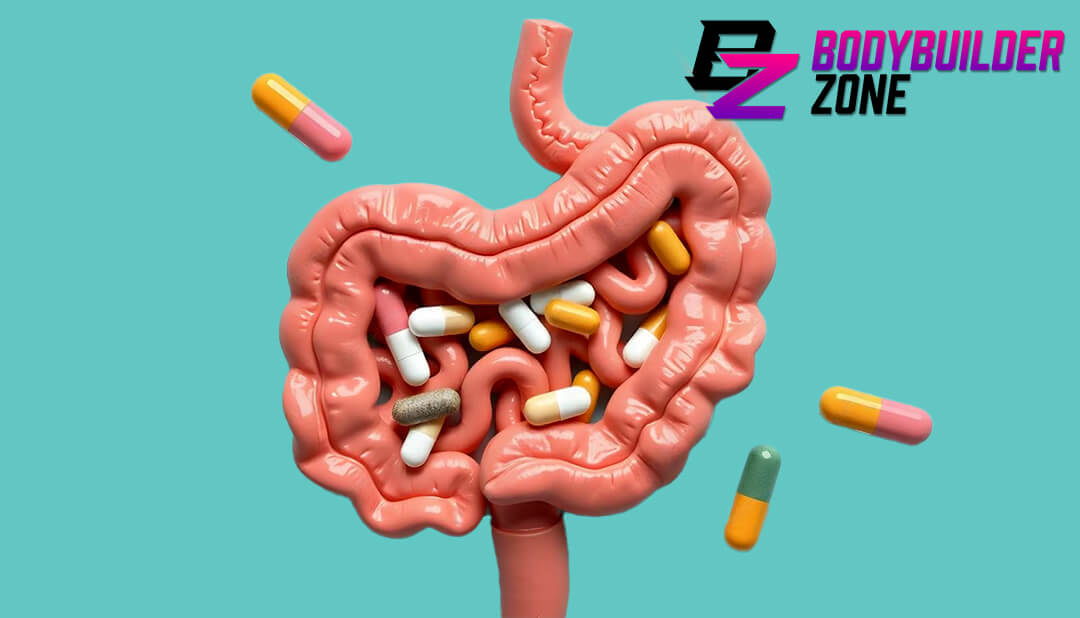 Improving Gut Health