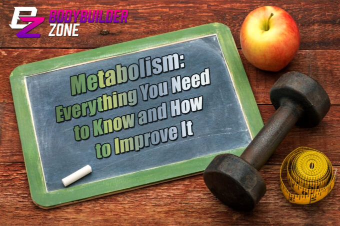 Metabolism: Everything You Need to Know and How to Improve It