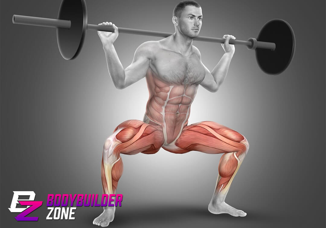Muscle Hypertrophy