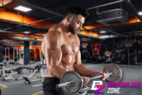 Understanding Tricep Muscles