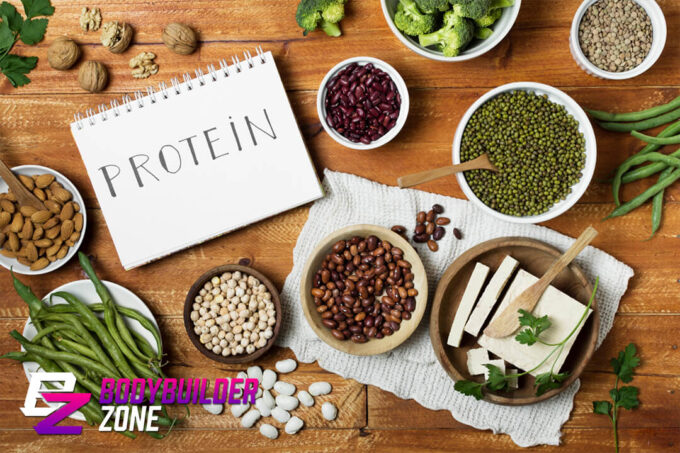 What Is a Protein Calculator?