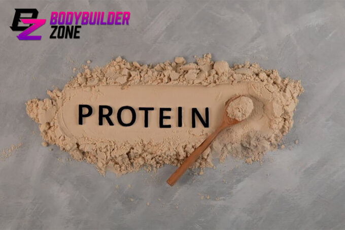 What Is Protein